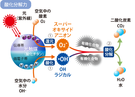 光触媒の仕組み